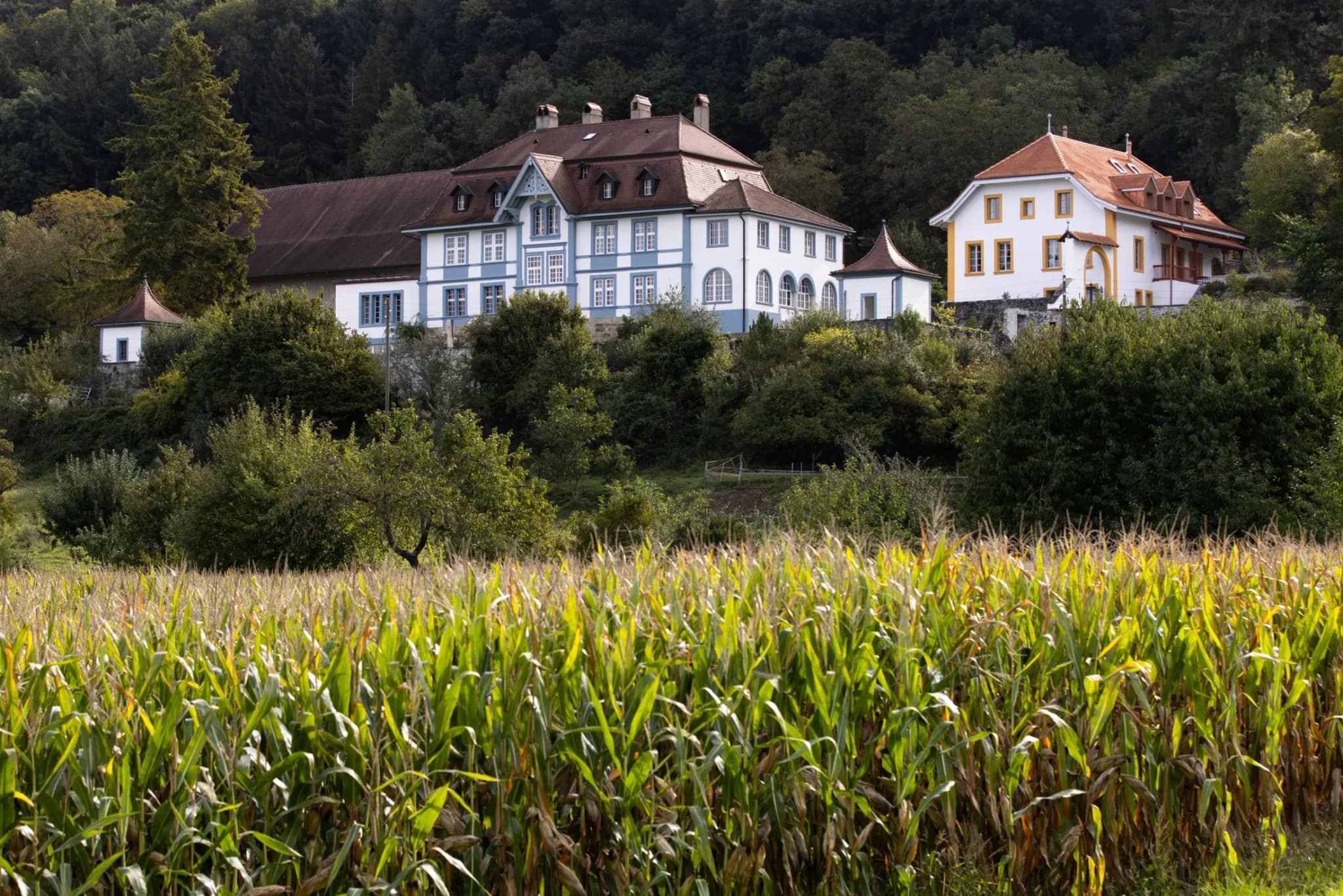 Marnand Castle — 2